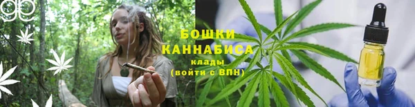 Альфа ПВП Белокуриха