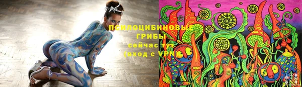 Альфа ПВП Белокуриха