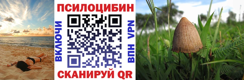 Псилоцибиновые грибы MAGIC MUSHROOMS  Купить где  Чердынь 